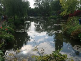 france023